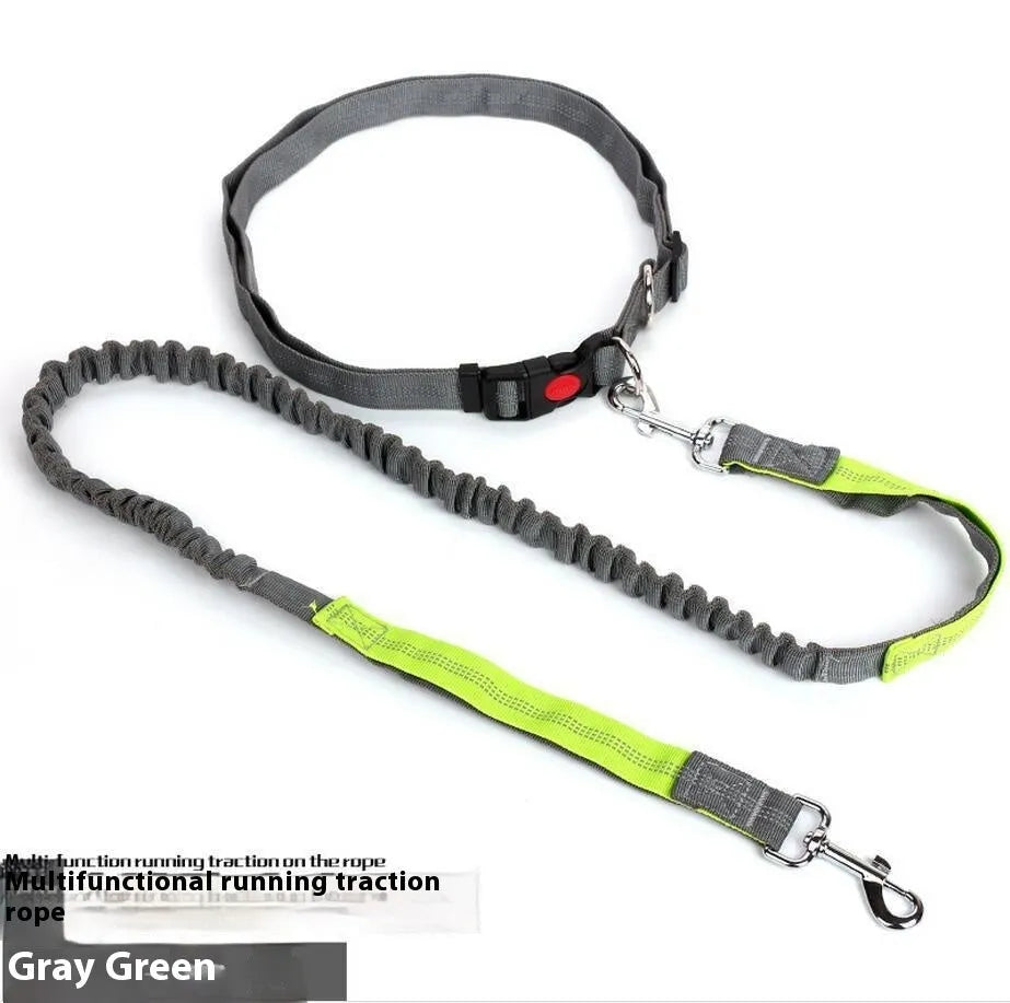 Outdoor running dog leash with reflective strip and elastic sling in a two-tone colour combination.