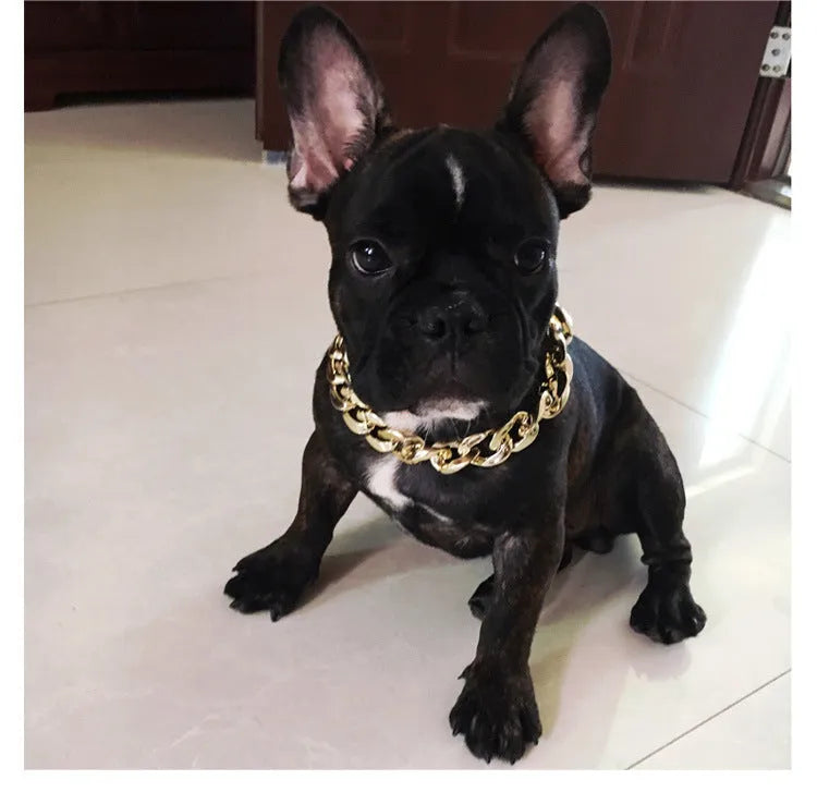 Geometric dog collar chain necklace with buckle on white background showing KC Gold, Local Gold, Rose Gold, and White colour options