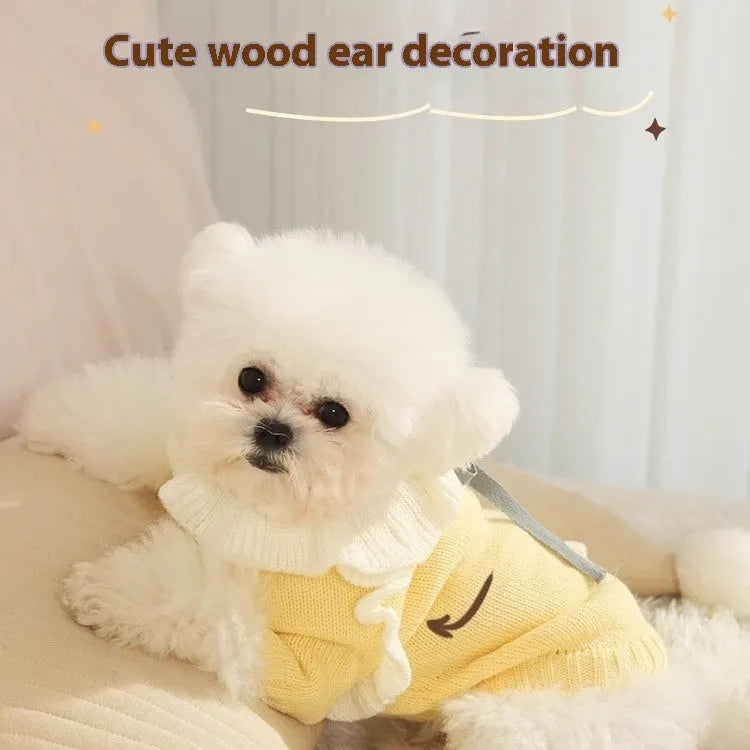 Yellow XINGX pattern acrylic dog sweater on a small dog, showing casual knitwear style.