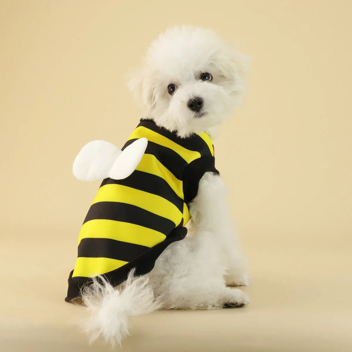 Frog Dog small medium dog sweater in Bee Vest style, polyester fleece, sizes S to XXL, colourful pet clothing