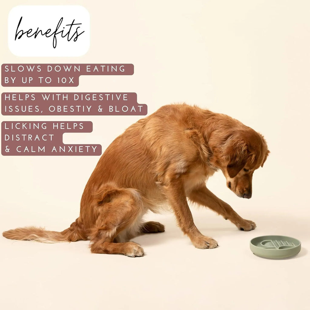 Silicone slow feeder dog bowl with textured ridges, shown in a choice of colours including beige and charcoal ash.