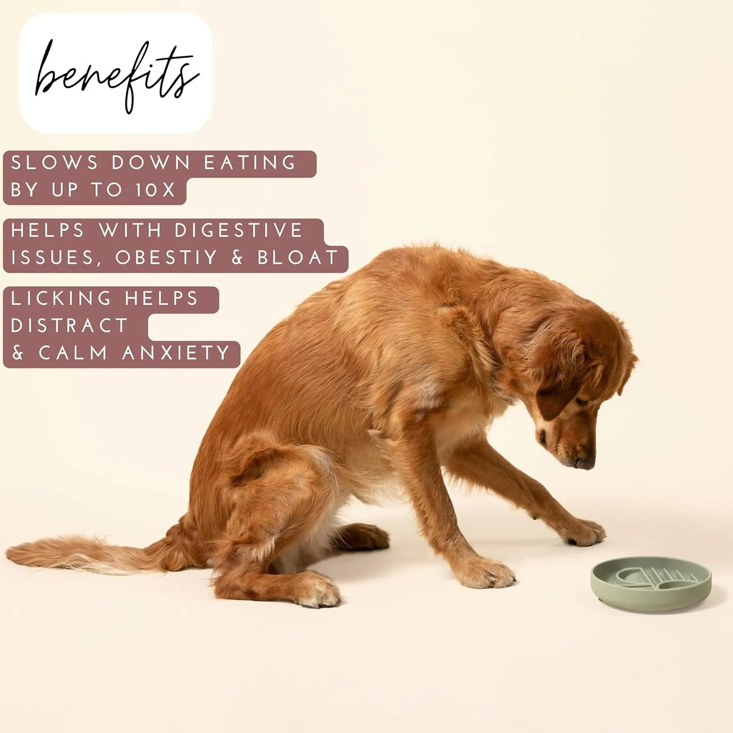 Silicone slow feeder dog bowl with textured ridges, shown in a choice of colours including beige and charcoal ash.