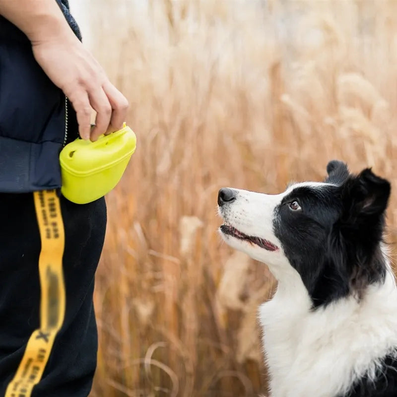 A silicone pet treat waist bag with a clip and magnetic flap closure in various colours.