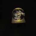 USB-powered desktop night light displaying an 8cm wide dandelion and sunflower floral specimen.