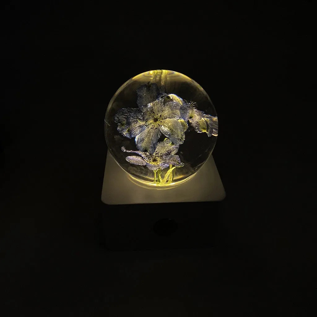 USB-powered desktop night light displaying an 8cm wide dandelion and sunflower floral specimen.