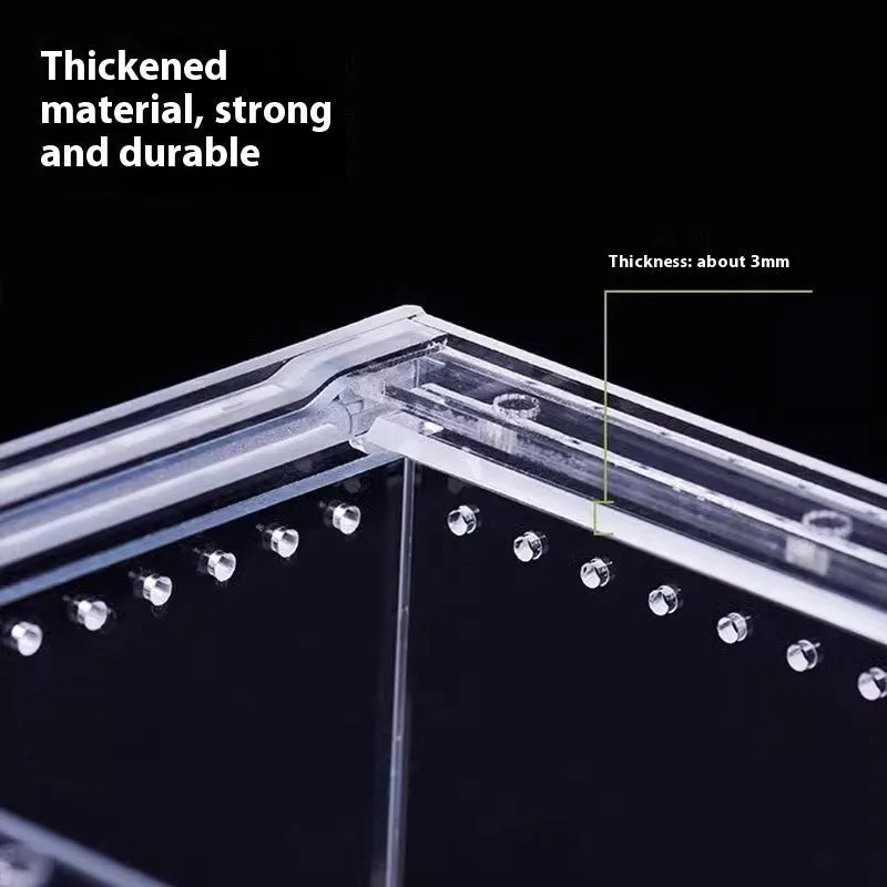 Transparent acrylic reptile feeding box showing ventilation design and clear PC construction