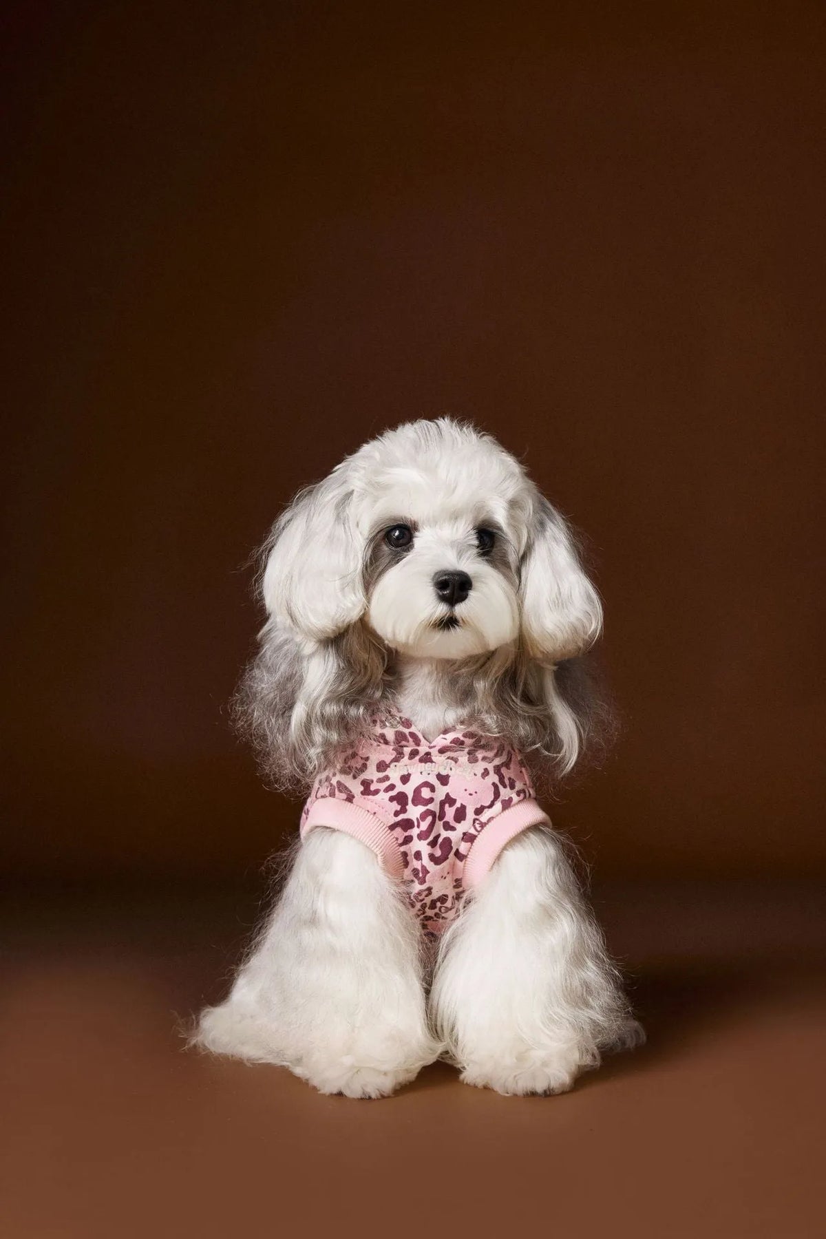 Leopard print sleeveless hooded dog sweater in coffee colour on small breed dog