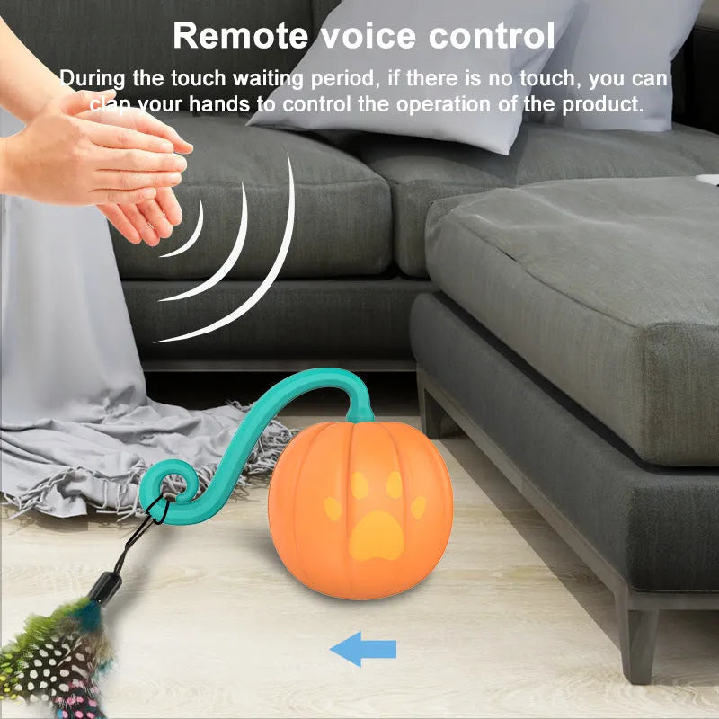 Electric cat toy with luminous ball in watermelon or pumpkin colour design