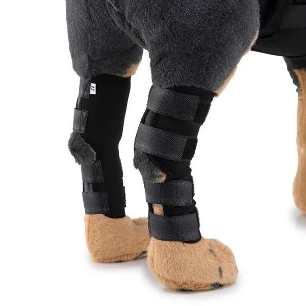 Dog leg brace support wraps in black, blue, and red for injury recovery and wound protection
