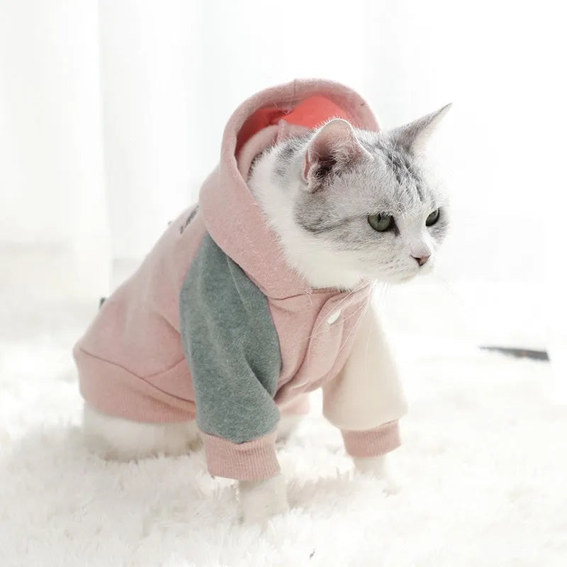 A brown cotton dog sweatshirt shown on a mannequin, with size tags for XS to 2XL.