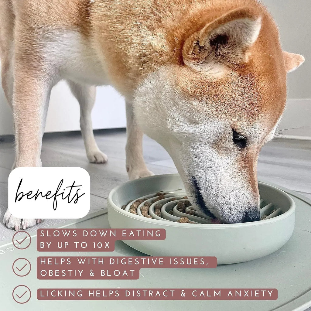 Silicone slow feeder dog bowl with textured ridges, shown in a choice of colours including beige and charcoal ash.