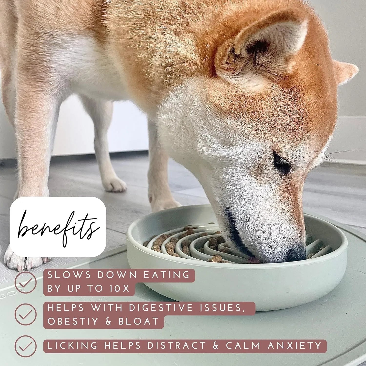 Silicone slow feeder dog bowl with textured ridges, shown in a choice of colours including beige and charcoal ash.