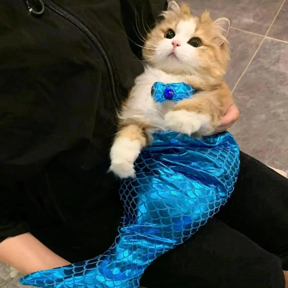 Blue or pink mermaid costume with scaly tail and bow on a small cat or dog