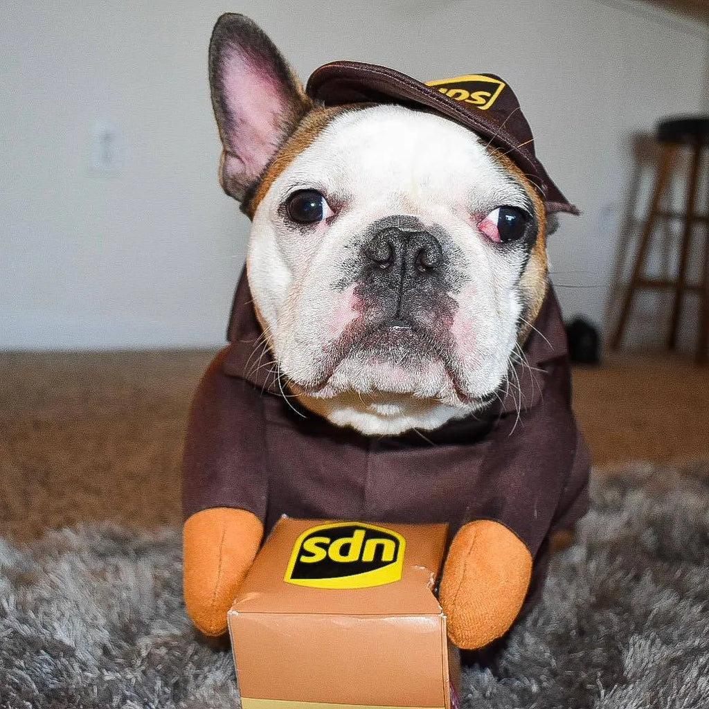 Funny Express pet clothes in brown cloth for dogs and cats size S