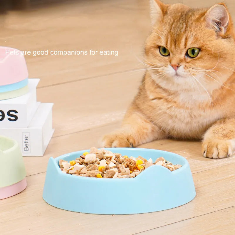 Ceramic dog slow feeder bowl with maze pattern in blue, green, or pink