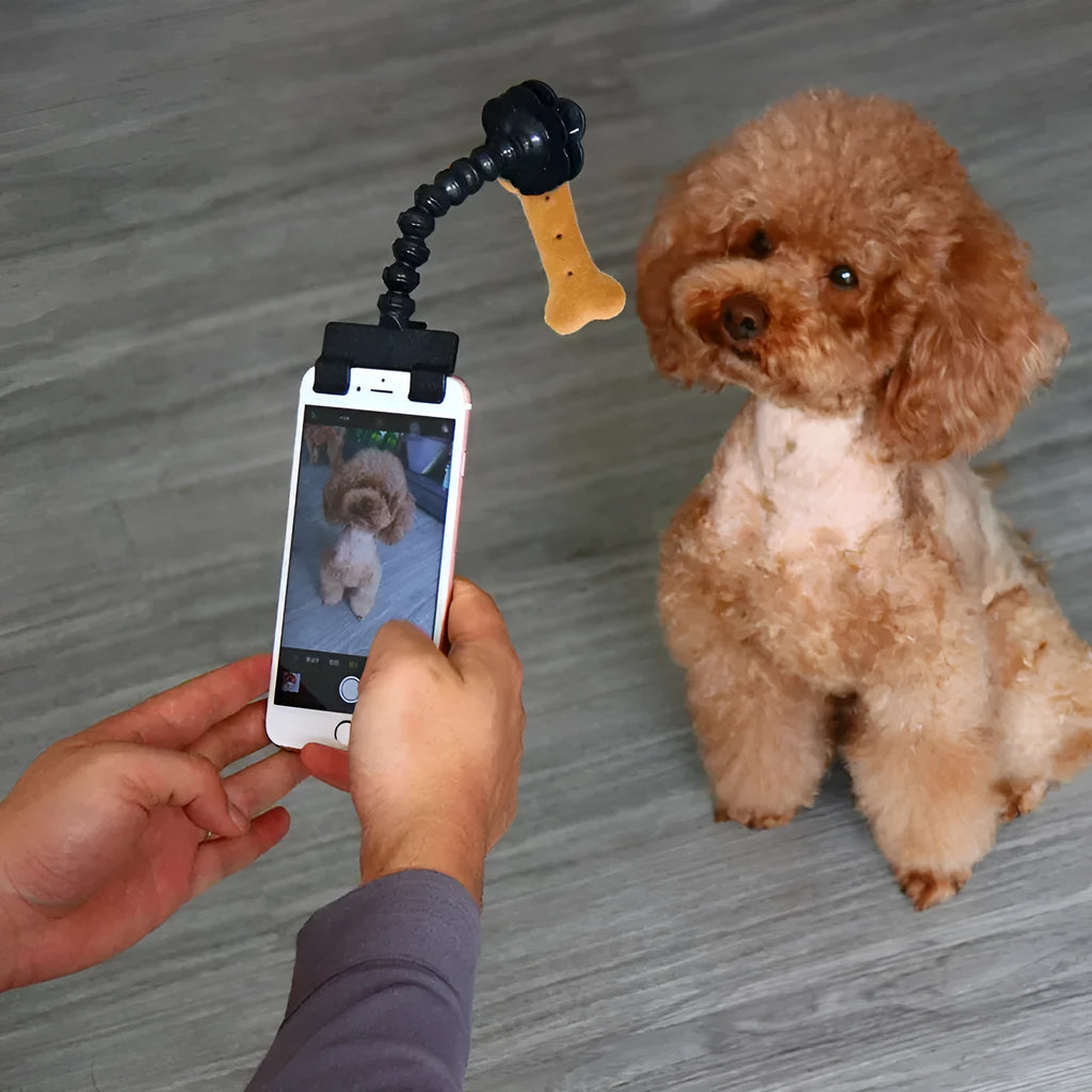 Black pet selfie stick with rotating snack clip attached to mobile phone for animal photography