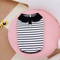 Summer stripes cotton t-shirt and skirt set for dogs in coordinated pet clothing