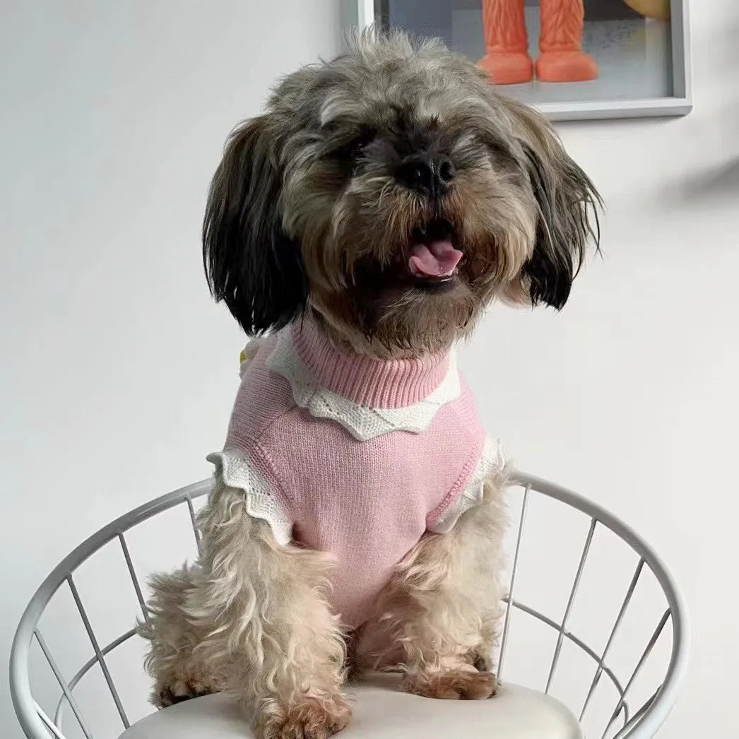 Green flower blossom pattern knitted sweater on a small dog, showing size and style.