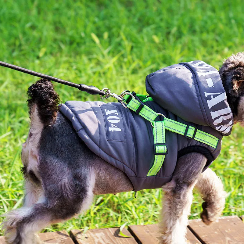 Red waterproof fleece-lined dog winter jacket with hood on small dog