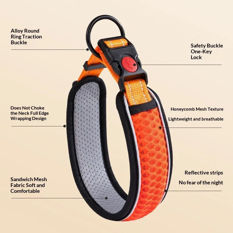 Acrylic pet collar with colour grid pattern in orange, blue or red, available in sizes XS to L for neck 28-58cm