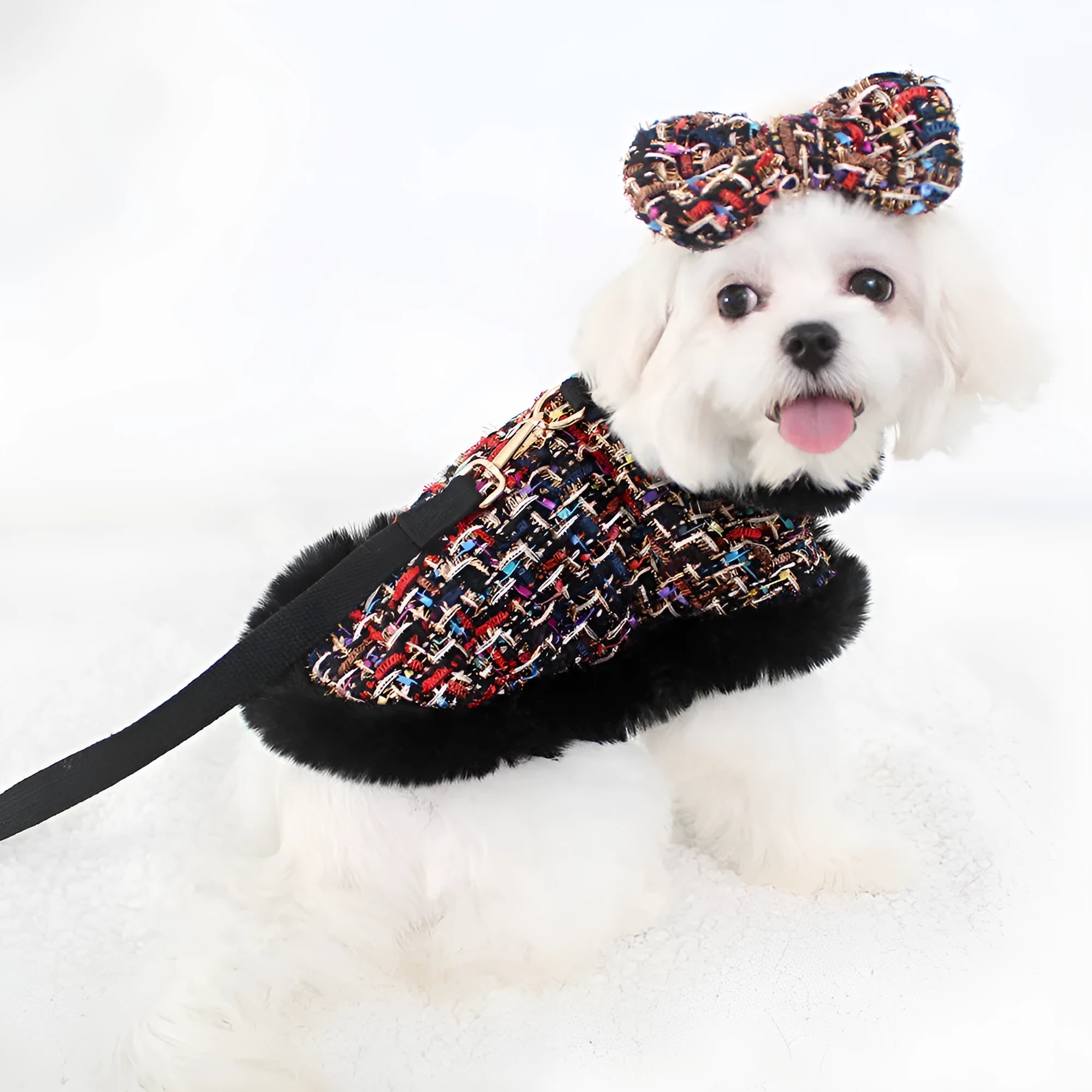 Dog wearing a classic-style cloth cloak chest strap with an attached hand holding rope, shown in beret design.