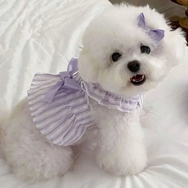 Purple dog dress with thin vest, bowknot, and striped skirt on light background