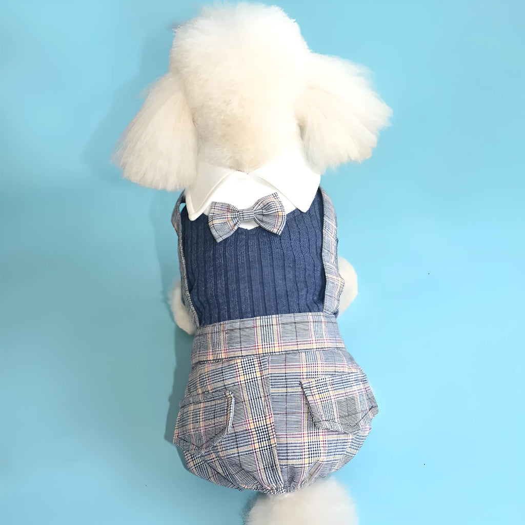 Orange cotton button-up shirt on a small dog, showing long sleeves and collar.