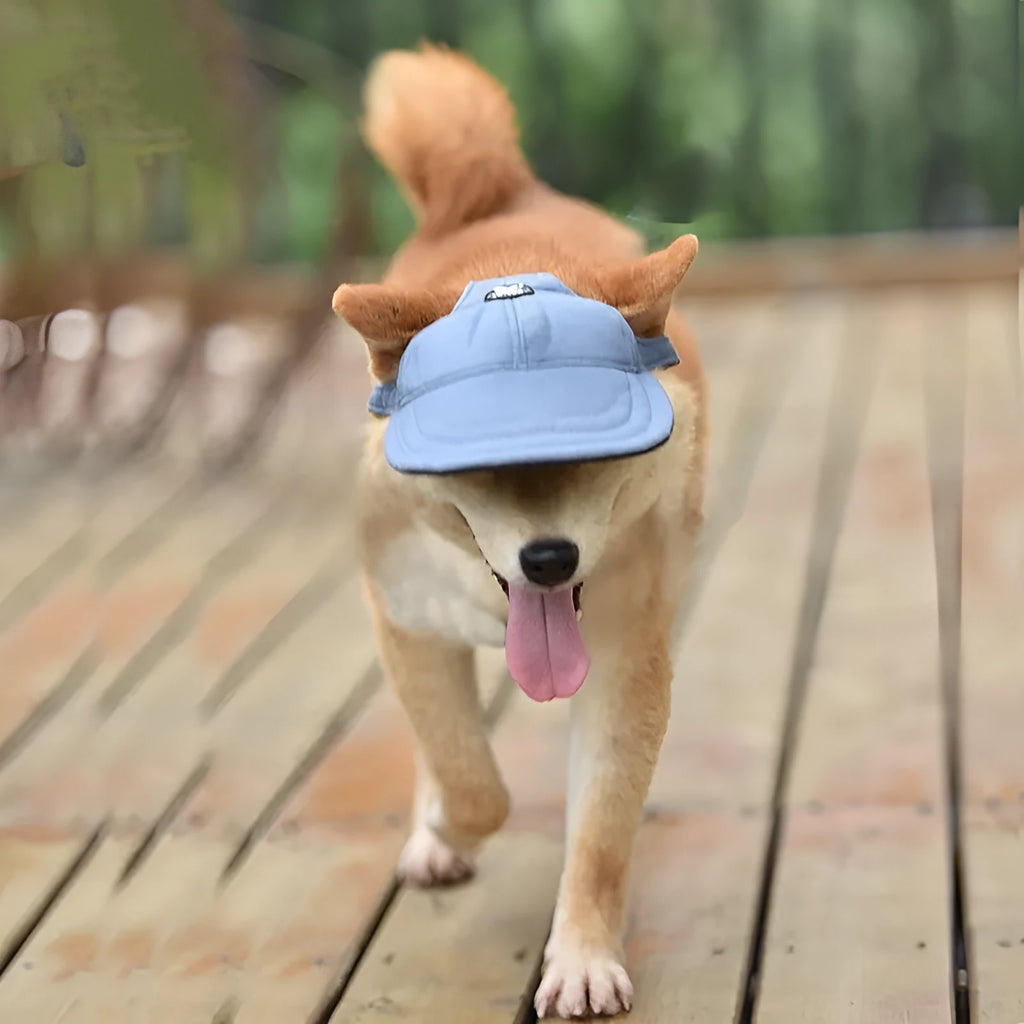Pet baseball cap for dogs and cats in pink, red, blue, denim blue, or cowboy black, with sun-proof brim and sizes S, M, L
