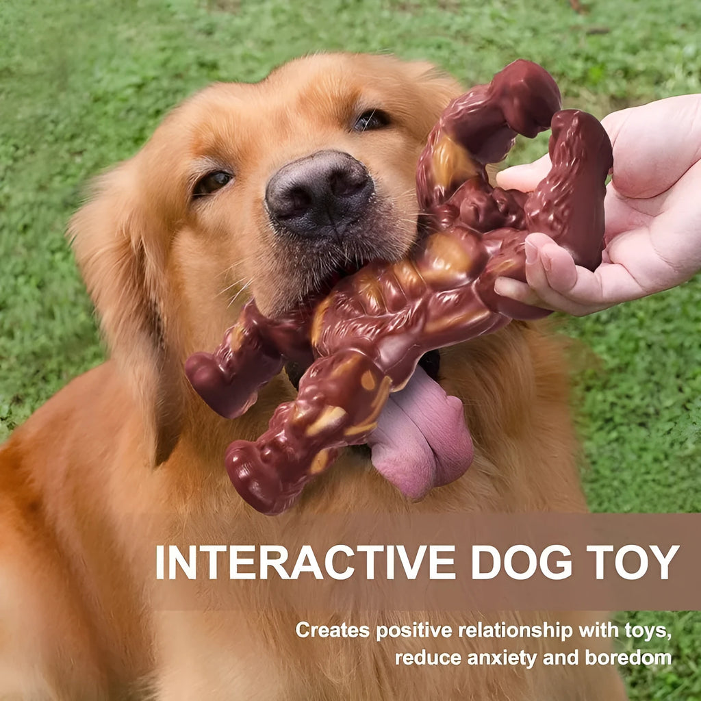 Scarlet nylon dog molar nibbling toy with beef flavour and textured grooves for dental care