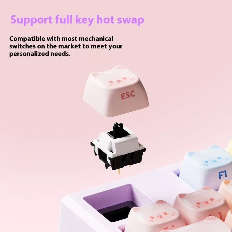 Coloured sugar cat themed wireless mechanical keyboard with piano switches
