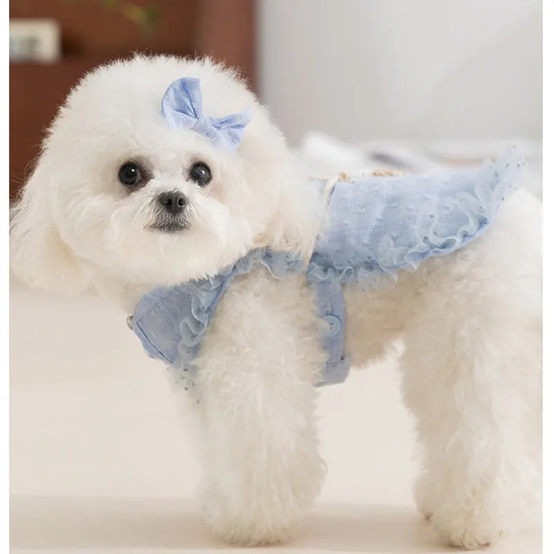 Small dog wearing yellow two-tone country shoulder bag outfit with matching bow and woven crossbody bag