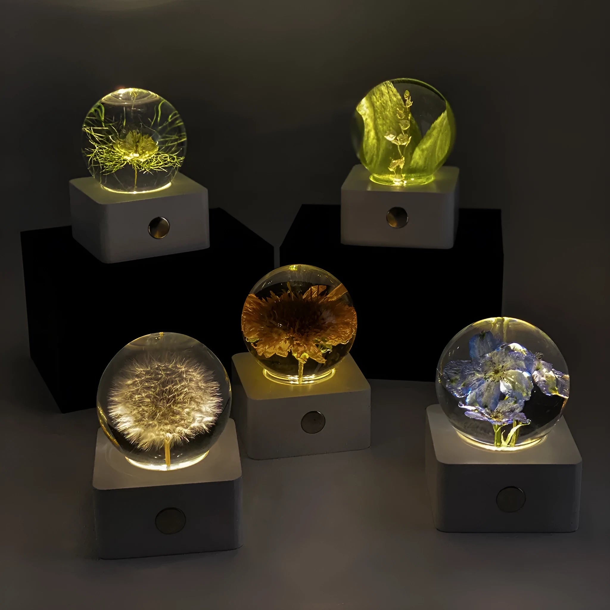 USB-powered desktop night light displaying an 8cm wide dandelion and sunflower floral specimen.