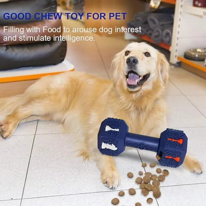 Blue durable rubber dumbbell dog chew toy with textured surface and hollow ends for treats.
