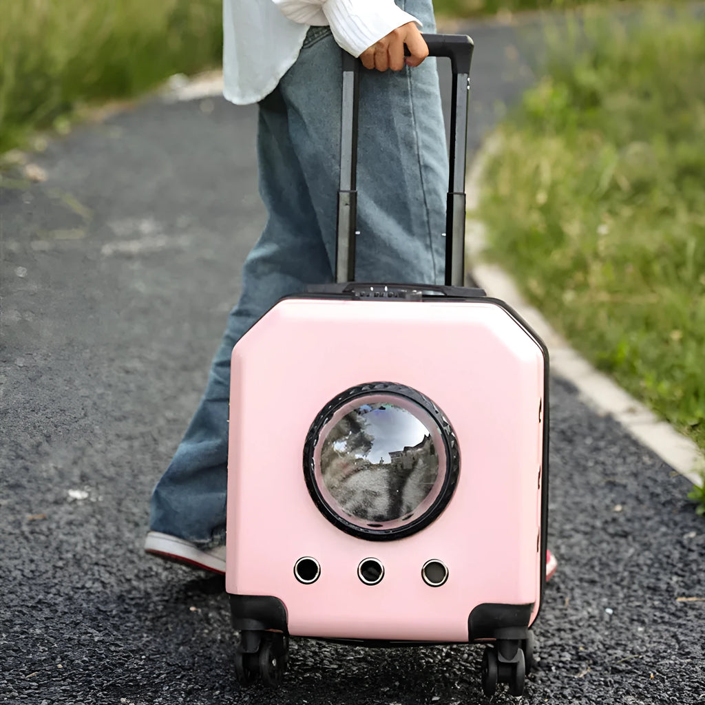 Hard PVC pet flight trolley case in orange, pink, white, or burgundy for small pet transport.
