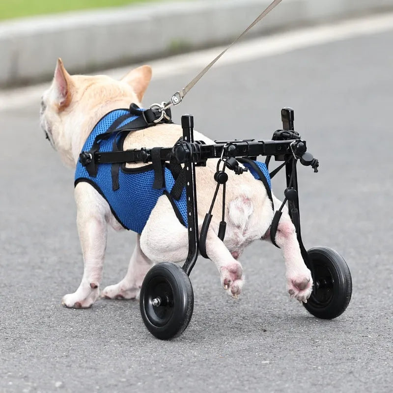 Blue dog wheelchair scooter made from aluminium alloy, PP, and polyester, available in sizes S, M, and XS.