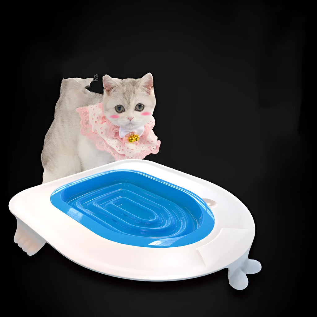 Blue PP cat toilet trainer for household toilet training, 415x423x420mm, on a white toilet seat