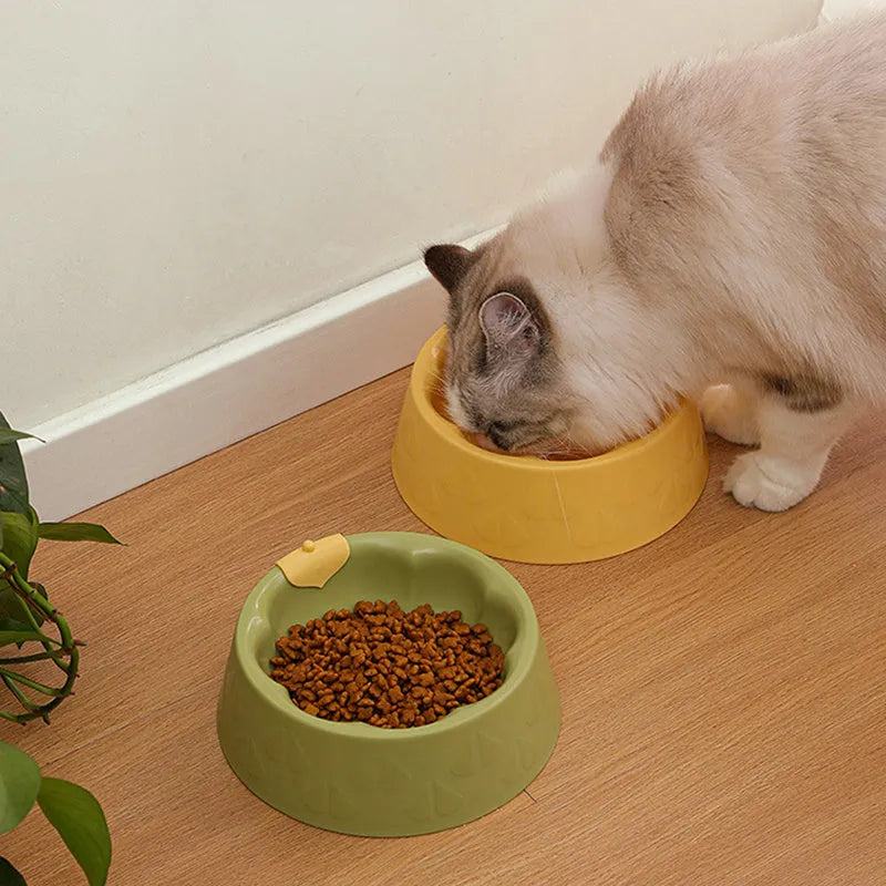 Green plastic double pet bowl for dog and cat food and water on a white background