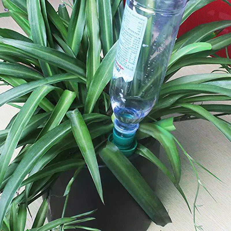 Green ceramic plant water dripper attached to plastic bottle for DIY garden irrigation system