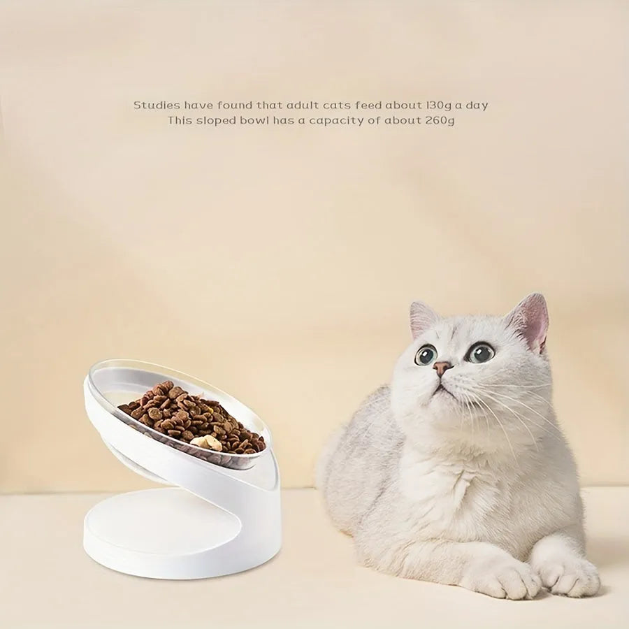 Clear plastic elevated cat food bowl with a tilted feeding platform.