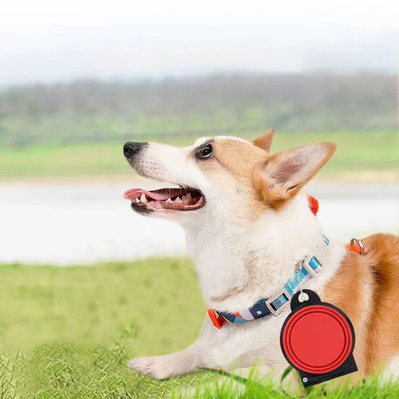 Blue silicone folding double pet bowl shown open for use and collapsed flat for storage.