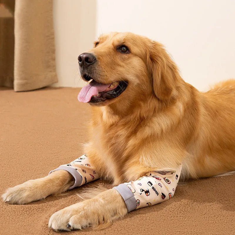 Adjustable dog knee protector guard with thick elbow pad and matching scarf in blue, on a medium-sized dog.