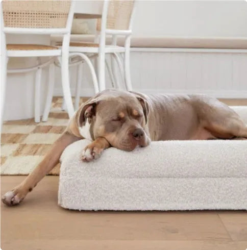 Rectangular pet sofa bed with thickened mattress in a fabric material, multiple sizes available for dogs