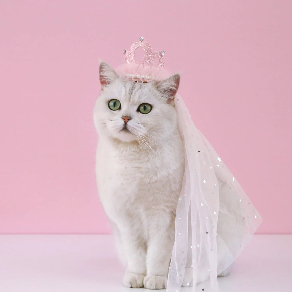 Princess crown headdress for cats in cotton polyester with veil options