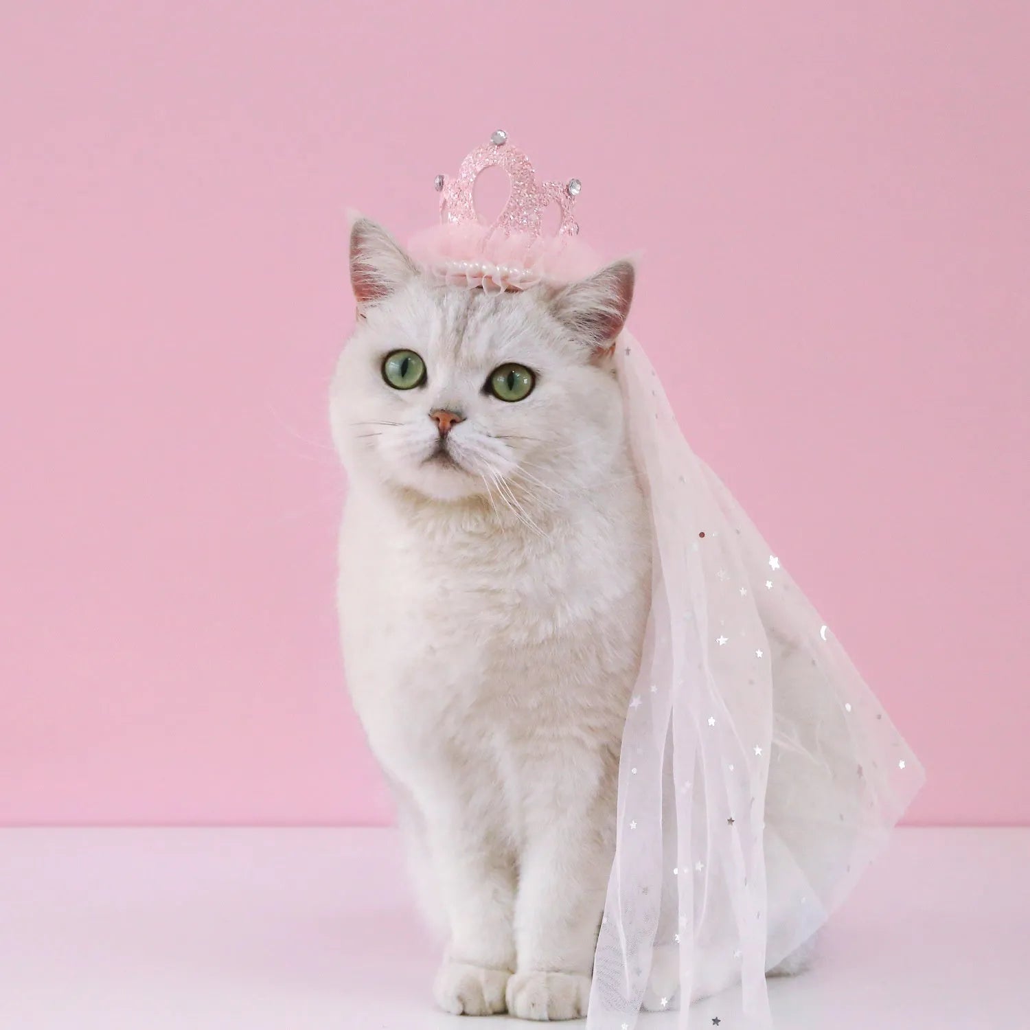 Princess crown headdress for cats in cotton polyester with veil options