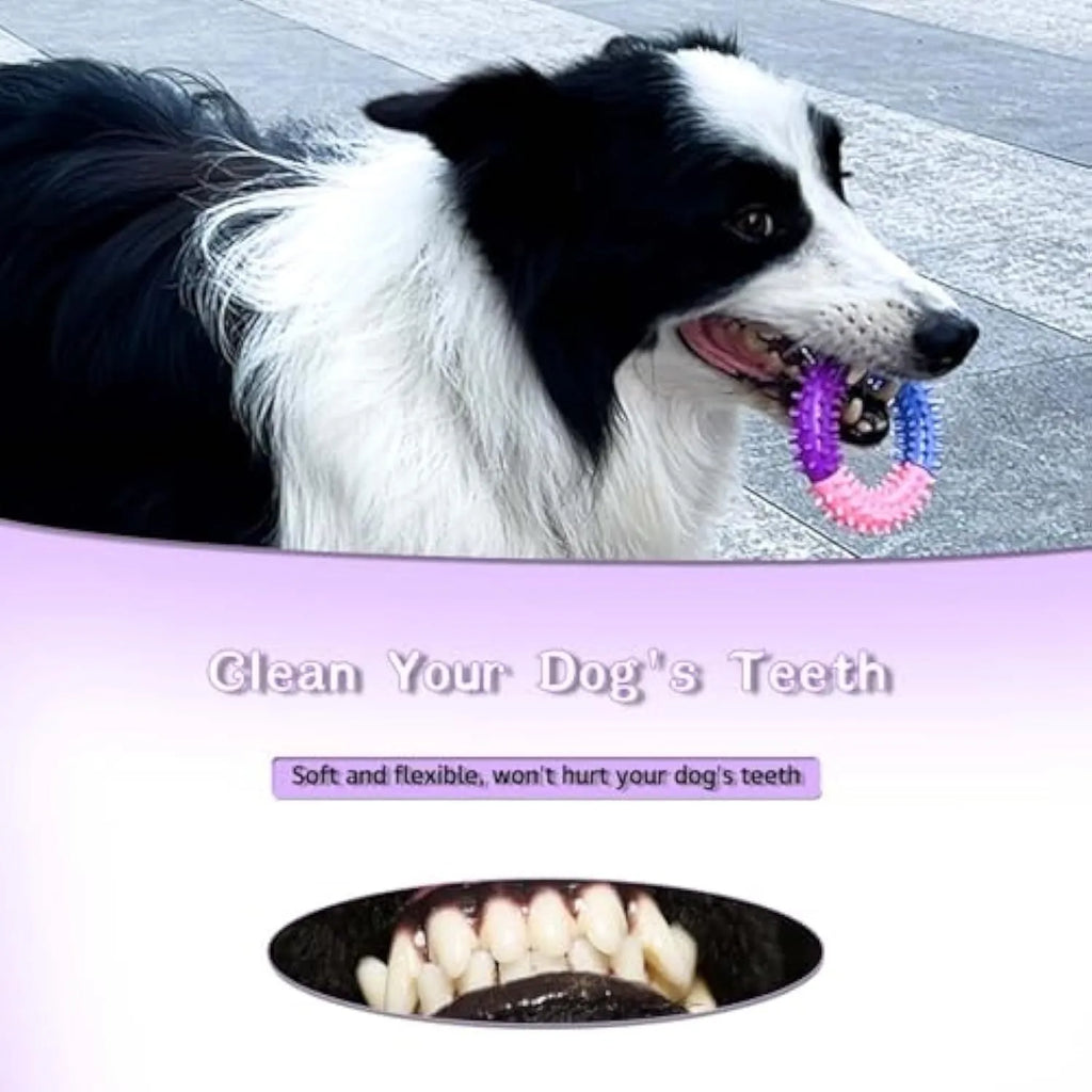 Rubber ring dog chew toy, 10cm, 32g, for puppy teething and interactive training, blue pink purple or red yellow blue