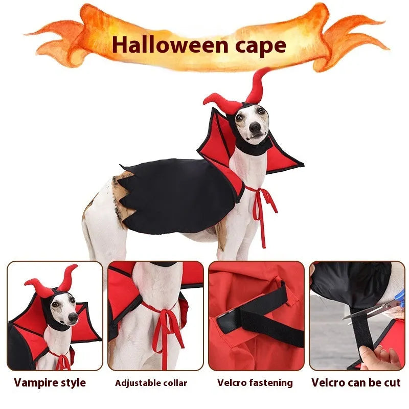 Black vampire cloak and hat Halloween costume for pet dog or cat
