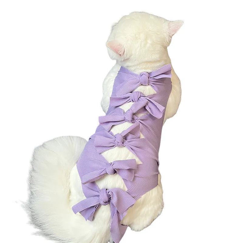Cat wearing blue polyester recovery suit with lace-up back closure after sterilisation surgery