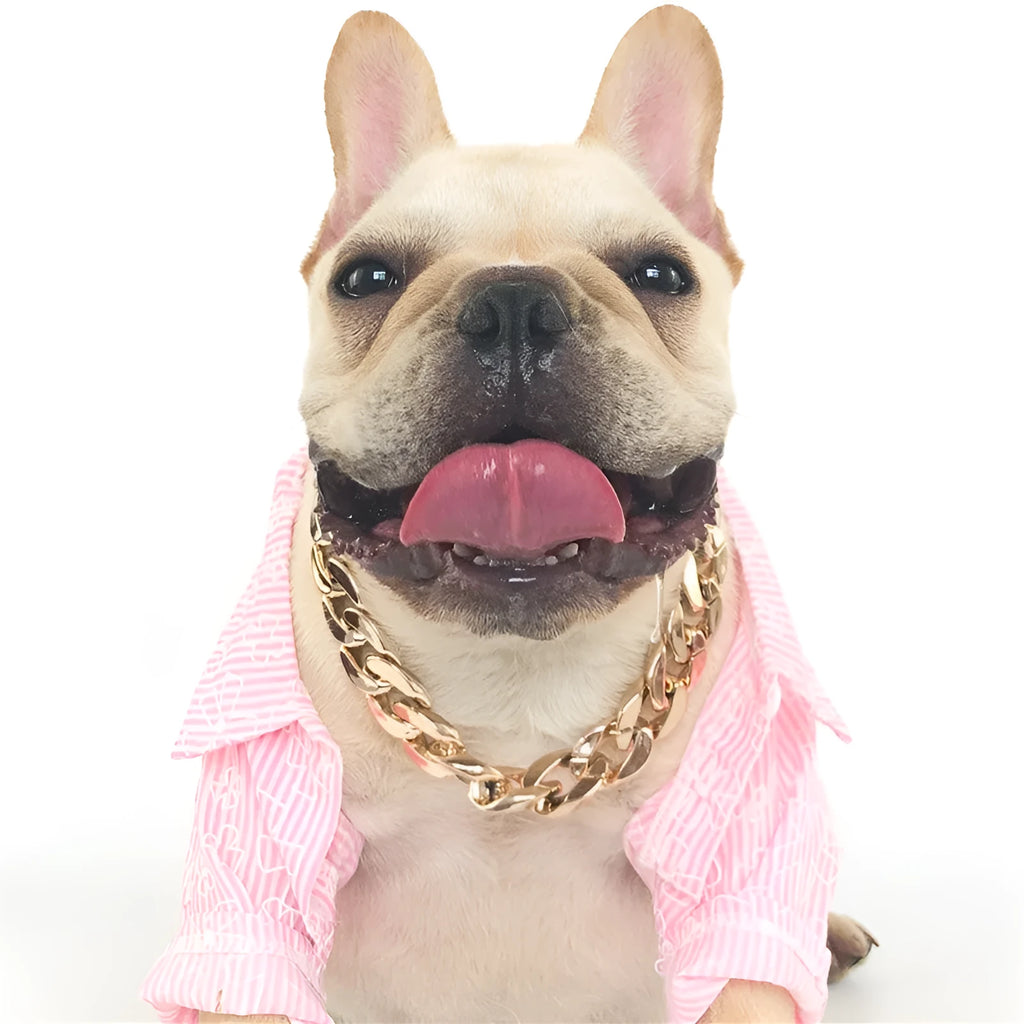 Geometric dog collar chain necklace with buckle on white background showing KC Gold, Local Gold, Rose Gold, and White colour options