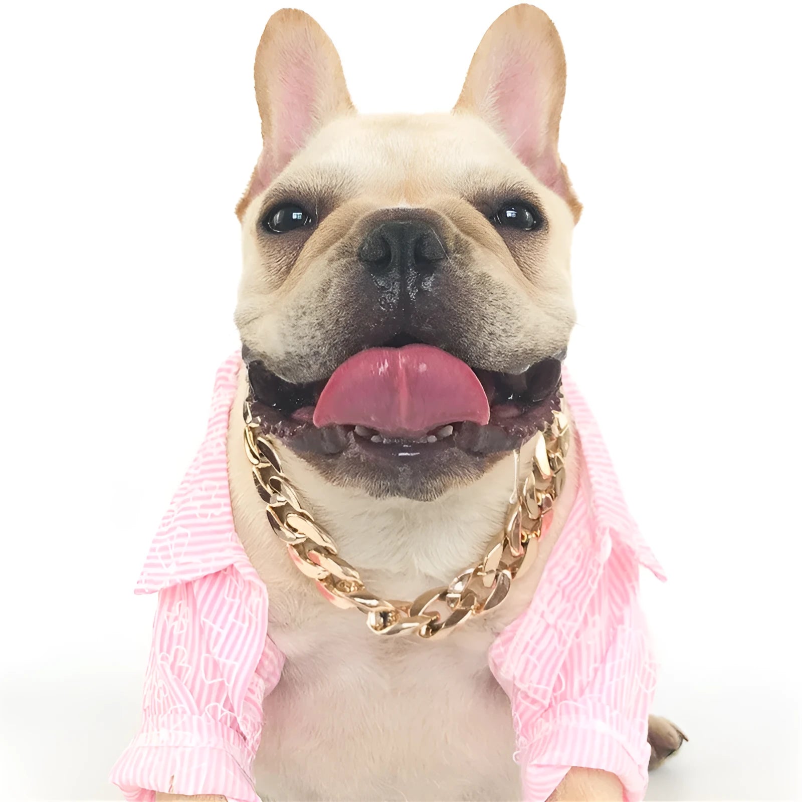 Geometric dog collar chain necklace with buckle on white background showing KC Gold, Local Gold, Rose Gold, and White colour options