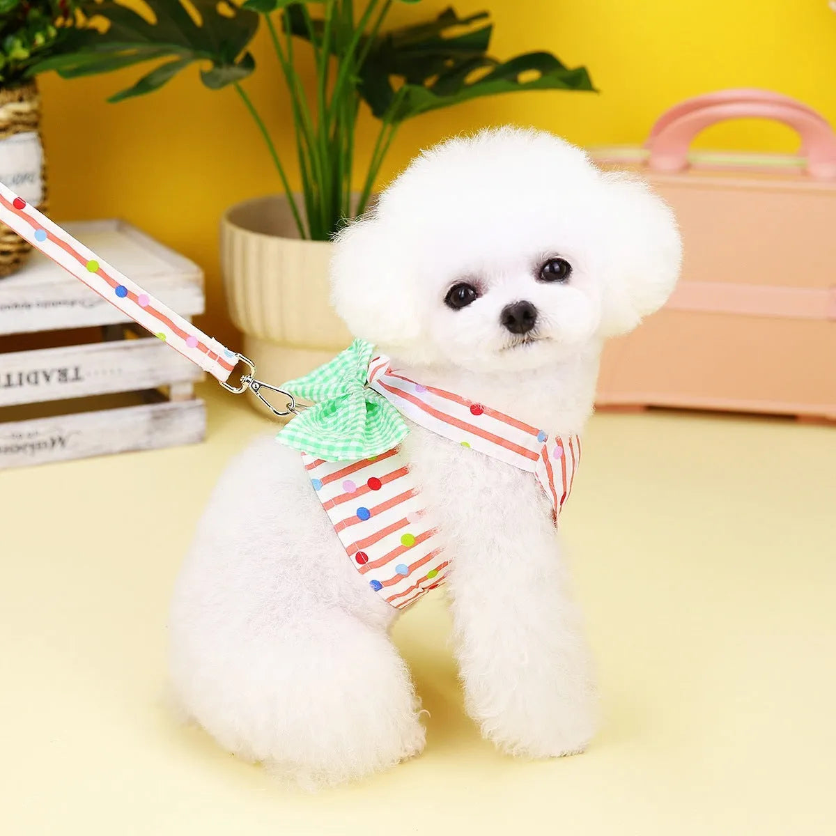 Cotton pet clothing with vertical bar bow on chest and back, shown in green, orange and blue stripes, sizes S to XXL